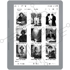 Электронная книга Digma E2 5.83