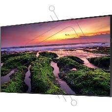 Панель Samsung QB75B черный, 75 