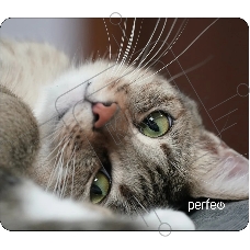 Коврик для мыши PERFEO PF_D0660 