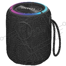 Портативная колонка AIWA (19175) PAS-H100 черный