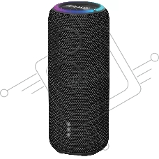 Портативная колонка AIWA (19177) PAS-H200 черный