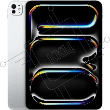 Планшет Apple iPad Pro 2024 A2837 11