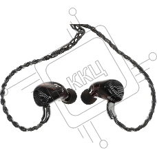 Наушники внутриканальные Fiio FA19 1.2м черный проводные в ушной раковине