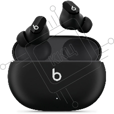 Гарнитура вкладыши Beats Studio Buds True Wireless Noise Cancelling черный