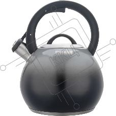 Чайник металлический Rondell Grigio RDS-1959 2.9л. серый