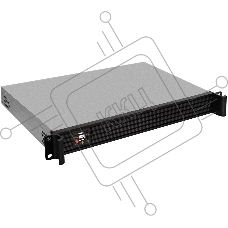 Серверный корпус ExeGate EX293305RUS Pro 1U250-01 (RM 19