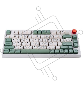 Клавиатура Epomaker TH80 Pro Keyboard Gateron Blue White Botanic Garden 