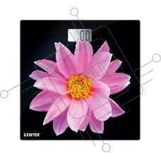 Весы напольные Centek CT-2416 Pink Flower электронные 180кг, 0,1кг, LCD 45x28, размер 26х26см