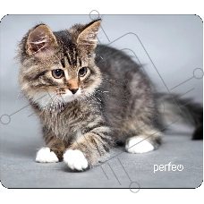 Коврик для мыши PERFEO PF_D0661 