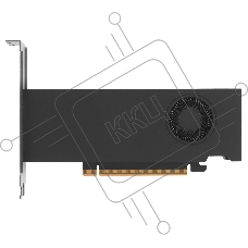 Видеокарта NVIDIA RTX PRO 2000 Blackwell, 16 GB GDDR7, 128 bit, 4xMini DisplayPort, GPU 982 MHz