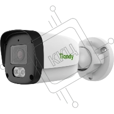 Камера видеонаблюдения Tiandy TC-C34QN 2GNA-28