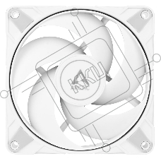 Вентилятор для корпуса Arctic P12 Max белый, 120 мм, 3300 об/мин, 25.3 дБ, 4 pin