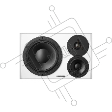 Акустическая система (студийный монитор) [963178] Dynaudio [LYD 48 R B/W] активная, 3-х полосная, ВЧ динамик 1.1