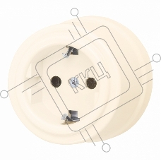 Розетка Bironi B1-101-24 с/з Лизетта пластик, песочное золото