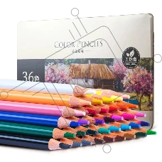 Карандаши цветные Deli 6566, липа, 36 цветов, коробка металлическая