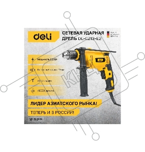 Дрель сетевая ударная Deli DL-CZ13-E2 (850Вт, 3000об/мин, картон)