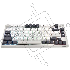 Клавиатура Royal Kludge RK-H81 Brown switch/белый Night