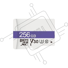 Флеш карта Dahua DHI-TF-C100/256Gb C100 microSD Read 95 MB/s C10/U3/V30 256 Gb
