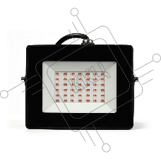 Фитопрожектор Smartbuy (SBL-FLFITO-30-65K)