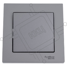 Выключатель 1-клавишный сх.1, 10АХ, в сборе SE AtlasDesign Сталь