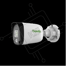 Камера видеонаблюдения IP Tiandy AK TC-C321N AK/I3W/E/Y/4mm/V2.0 4-4мм цв.