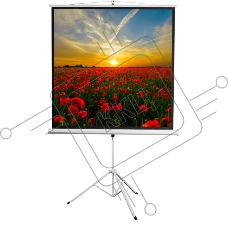 Экран 172x172см Digis Kontur-D DSKD-1104 1:1 напольный рулонный