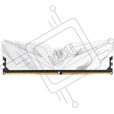 Оперативная память Netac Shadow II, DDR5, 16GB (1x16 GB), 6000 MHz, CL38, радиатор, RGB, белый