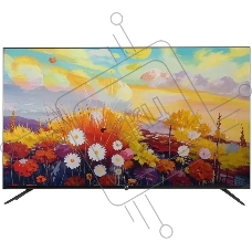 Телевизор LEFF 55