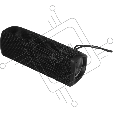 Колонка портативная Tecno S5 Square черный 30W 1.1 BT 4000mAh (S5)