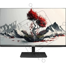 Монитор RDW Computers RDW2401K 1920x1080(FHD) IPS 100Hz 4мс 178°/178 300cd VGA HDMI DP Рег. по высоте, Портретный режим, Поворот вокруг своей оси(лево/право),наклон, Внешний БП, Динамики, черный, VESA 100*100, реестр МПТ