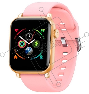 Смарт-часы Havit M9016 PRO Smart Watch gold+pink