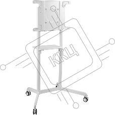 Стойка для телевизора Cactus CS-ST1146WT белый, 37