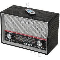 Радиоприемник Ritmix RPR-102 черный