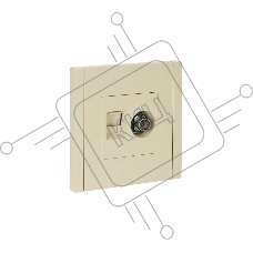Розетка двойная TV+RJ45 кат.5E IEK FORTE&PIANO FP436 ваниль