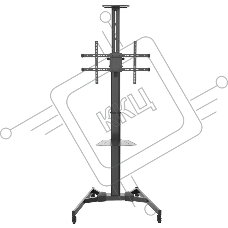Стойка мобильная Digis DSM-P164C