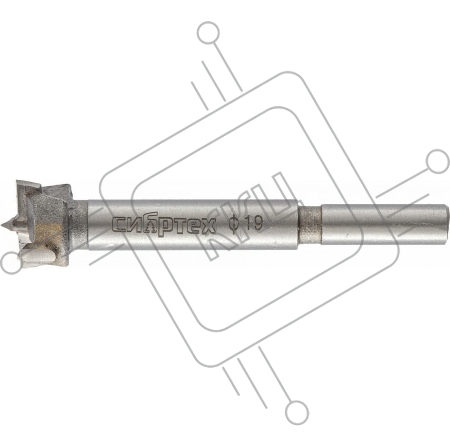 Сверло Форстнера по дереву, 19 мм, цилиндрический хвостовик// Сибртех