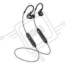 Наушники вкладыши Sennheiser IE 100 PRO Wireless 1.3м черный беспроводные bluetooth в ушной раковине
