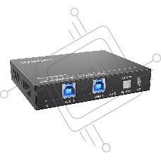Коммутатор Infobit iTrans USB32-S USB 3.2 10 Гбит/с с автопереключением