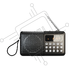 Радиоприемник SOUNDMAX SM-RD2116 черный