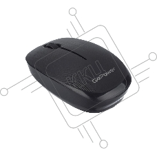 Мышь беспроводная GoPower GPM02 классическая USB черный (1/100)