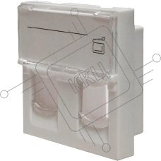 Панель Suprlan 10-0302-1, лицевая со шторкой 45x45, 2xKeystone ABS пластик, белый Панель Suprlan 10-0302-1, лицевая со шторкой 45x45, 2xKeystone ABS пластик, белый