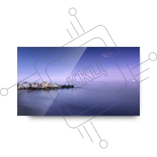 Профессиональный дисплей Goodview PD55N10 55