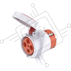 Розетка панельная с наклоном DKC DIS4156366 IP67 63A 3P+E 400В, 