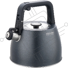 Чайник Rondell Filigran RDS-1950 2.7 л. металлический серый