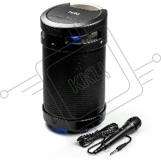 Портативная аудиосистема DIALOG AP-1030