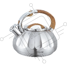 Чайник для плиты ALBERG AL-3066