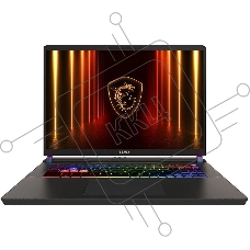 Ноутбук без сумки MSI Vector 17 HX A2XWJG Ultra9 275HX 17
