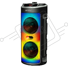 Акустическая система Midi GM-231 TWS/BT/USB/TF/FM/ДУ черный