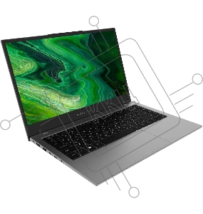 Ноутбук Digma Pro Fortis Core i5 1035G1 8Gb SSD512Gb Intel UHD Graphics 14.1