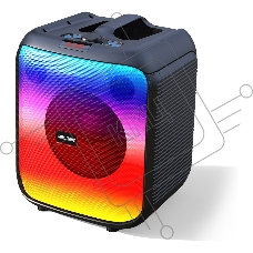 Портативная акустика SMARTBUY (SBS-5520) черный